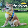 Pet Collars, Leashes & Harnesses