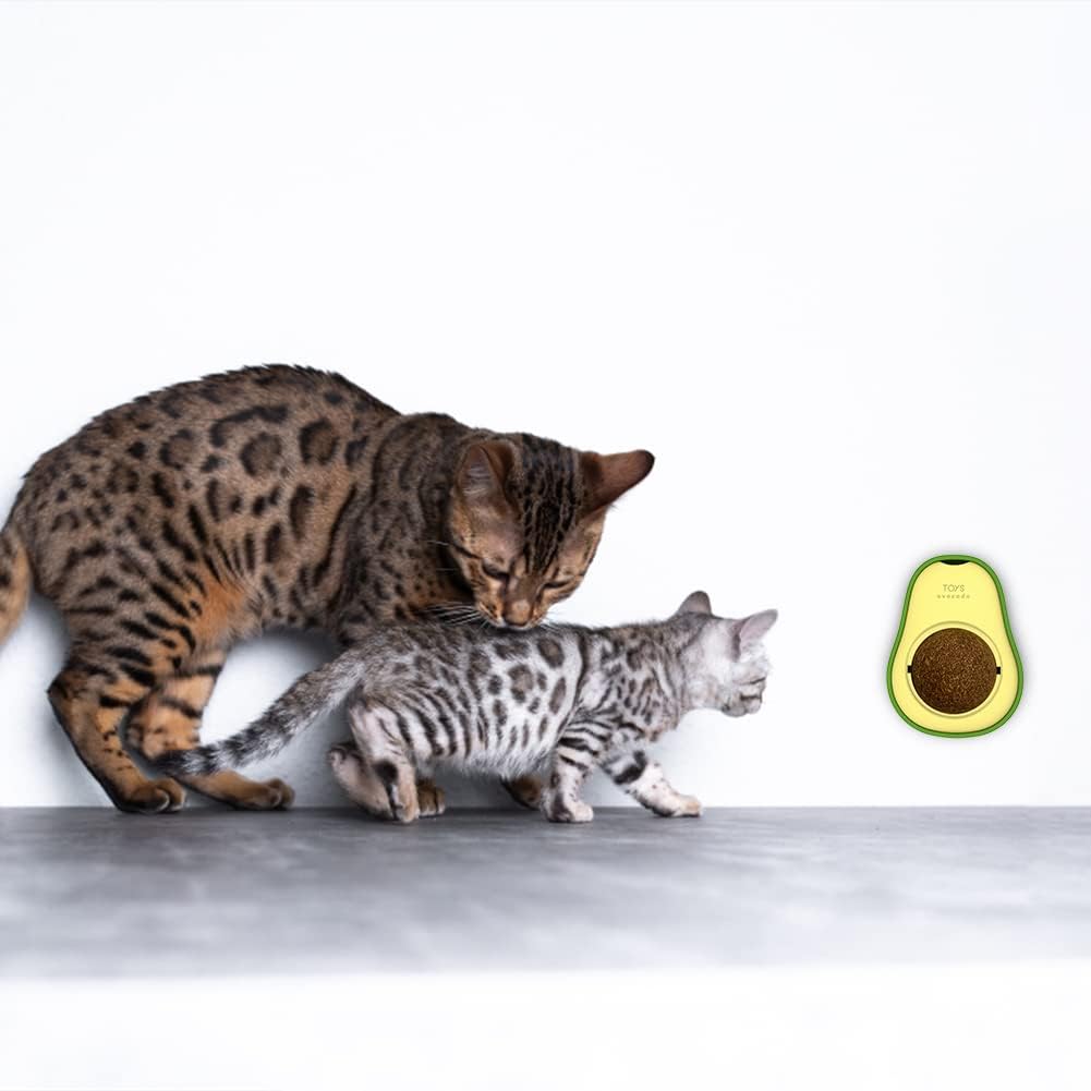 "Avocado Catnip Wall Ball Cat Toys Catnip, 2PCS Cute Avocado Shape Catnip Toys Rotatable Treats Toys for Indoor Cats "_1_image